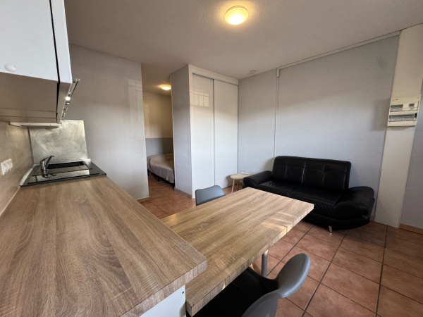 Offres de location Appartement Gaillard 74240